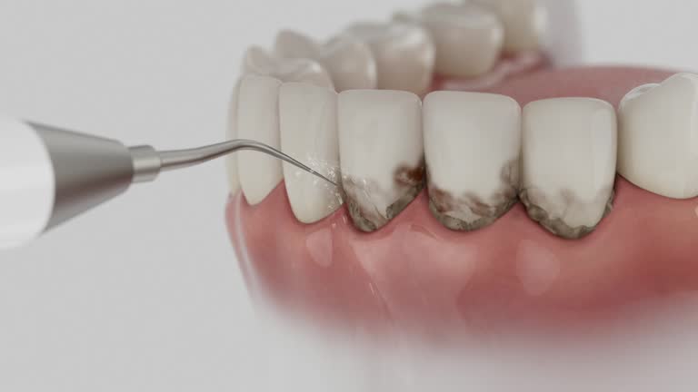 Reliable Dental contractor in Wedgefield, SC by Dentist Open Now